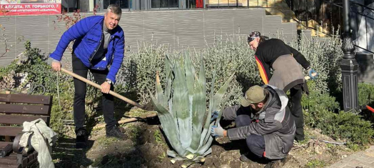 Алуштинское отделение ЛДПР продолжает озеленение курортной Алушты
