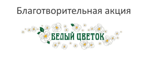 Развлекательный объект &laquo;Галерея иллюзий&raquo; присоединился к акции &laquo;Белый цветок&raquo;
