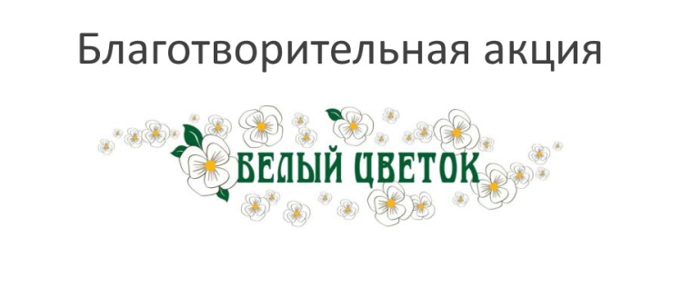 Развлекательный объект &laquo;Галерея иллюзий&raquo; присоединился к акции &laquo;Белый цветок&raquo;