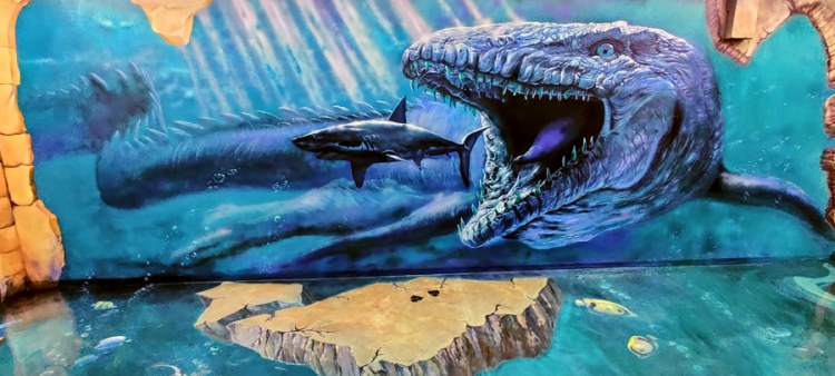 Новый проект &laquo;Галерея иллюзий&raquo;